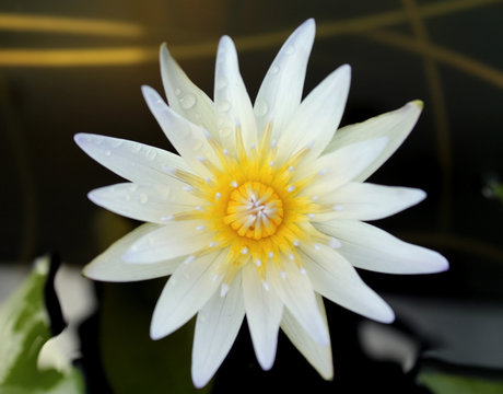 六合彩品牌形象